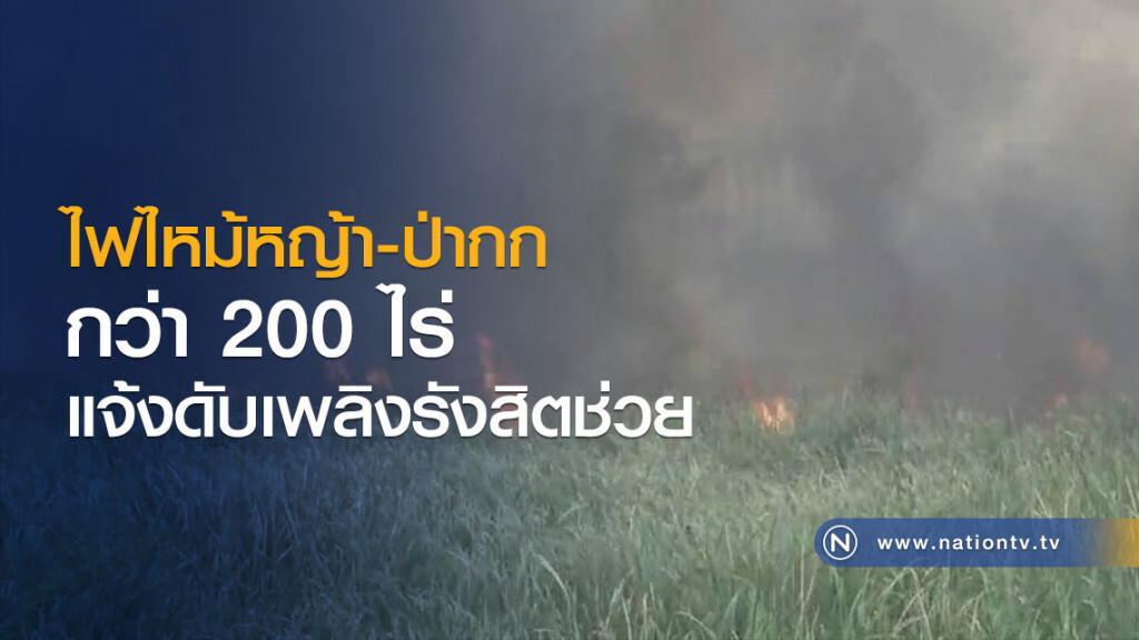 ไฟไหม้หญ้า-ป่ากกกว่า 200 ไร่
แจ้งดับเพลิงรังสิตช่วย ไฟไหม้หญ้า-ป่ากกกว่า 200 ไร่
แจ้งดับเพลิงรังสิตช่วย