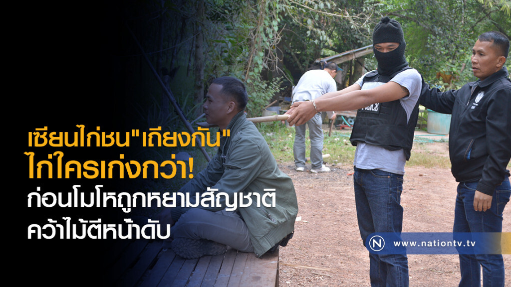 เซียนไก่ชน"เถียงกัน"
ไก่ใครเก่งกว่า!
ก่อนโมโหถูกหยามสัญชาติ
คว้าไม้ตีหน้่าดับ เซียนไก่ชน"เถียงกัน"
ไก่ใครเก่งกว่า!
ก่อนโมโหถูกหยามสัญชาติ
คว้าไม้ตีหน้่าดับ