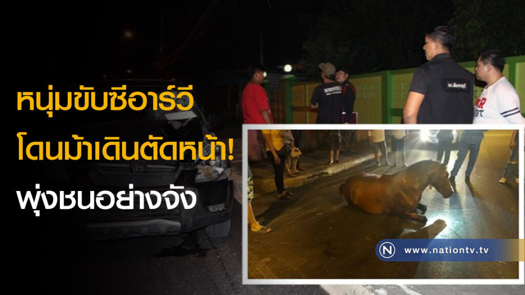 หนุ่มขับซีอาร์วี โดนม้าเดินตัดหน้า! พุ่งชนอย่างจัง หนุ่มขับซีอาร์วี โดนม้าเดินตัดหน้า! พุ่งชนอย่างจัง
