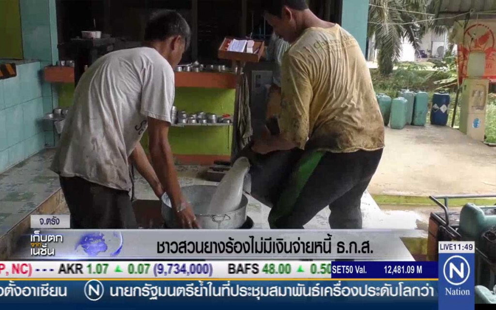 ชาวสวนยางร้องไม่มีเงินจ่ายหนี้ ธกส.
