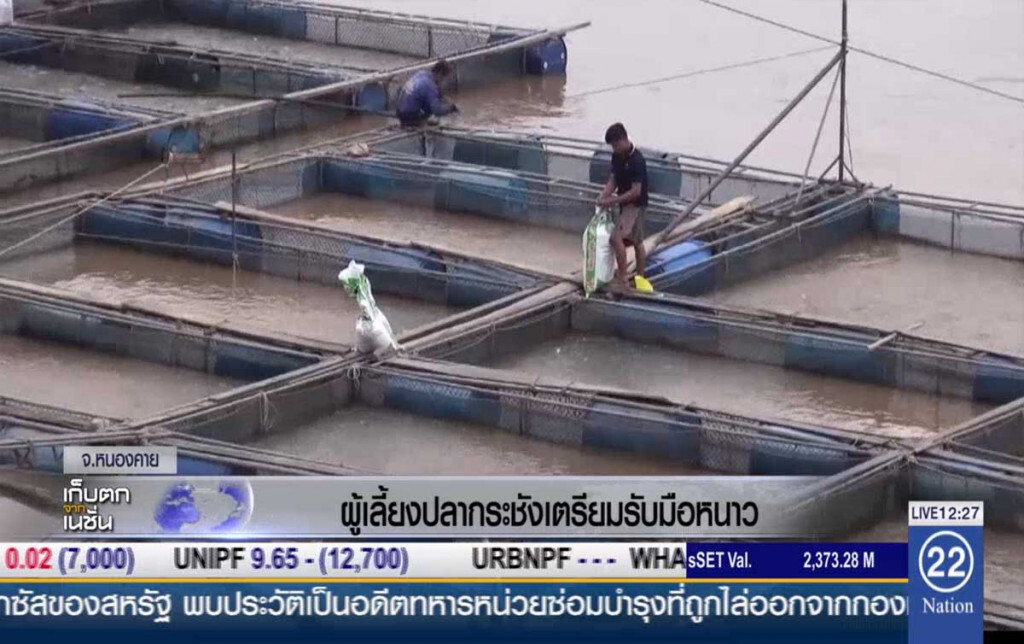 ผู้เลี้ยงปลากระชัง เตรียมรับมือหนาว