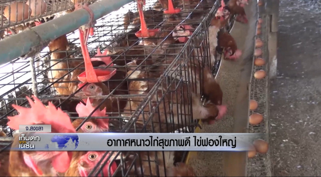 8-11-2560 เก็บตกจากเนชั่นภาคกลางวัน 8-11-2560 เก็บตกจากเนชั่นภาคกลางวัน