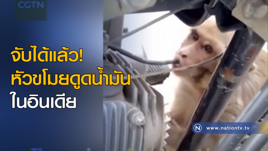จับได้แล้ว! หัวขโมยดูดน้ำมันในอินเดีย จับได้แล้ว! หัวขโมยดูดน้ำมันในอินเดีย