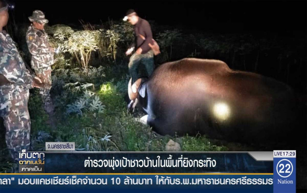 ตำรวจพุ่งเป้า ชาวบ้านในพื้นที่ยิงกระทิง