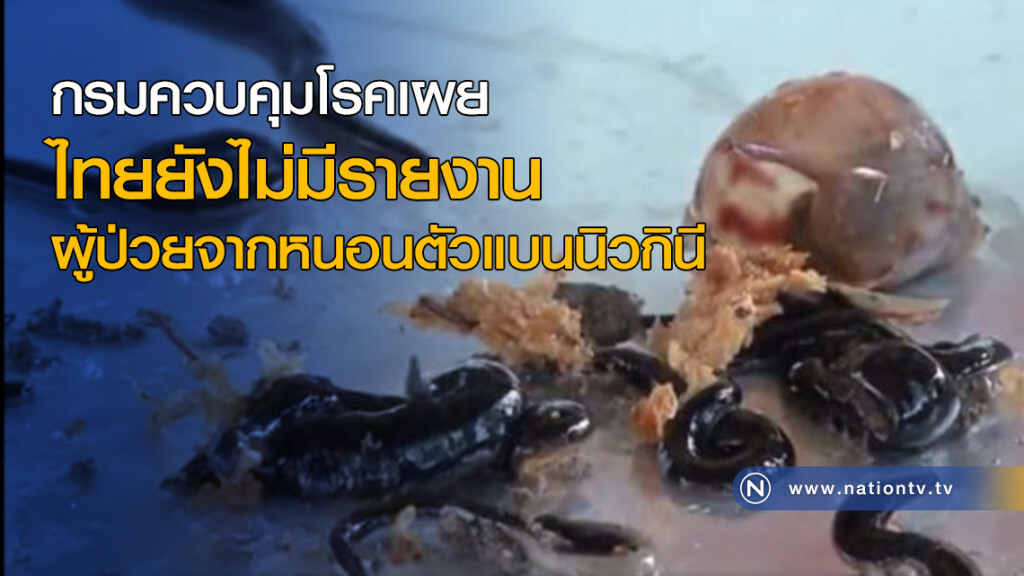 ไทยยังไม่มีรายงานผู้ป่วยจากหนอนตัวแบนนิวกินี ไทยยังไม่มีรายงานผู้ป่วยจากหนอนตัวแบนนิวกินี