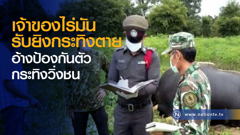 เจ้าของไร่มัน ยอมรับยิงกระทิงตาย อ้างป้องกันตัว กระทิงวิ่งชน เจ้าของไร่มัน ยอมรับยิงกระทิงตาย อ้างป้องกันตัว กระทิงวิ่งชน