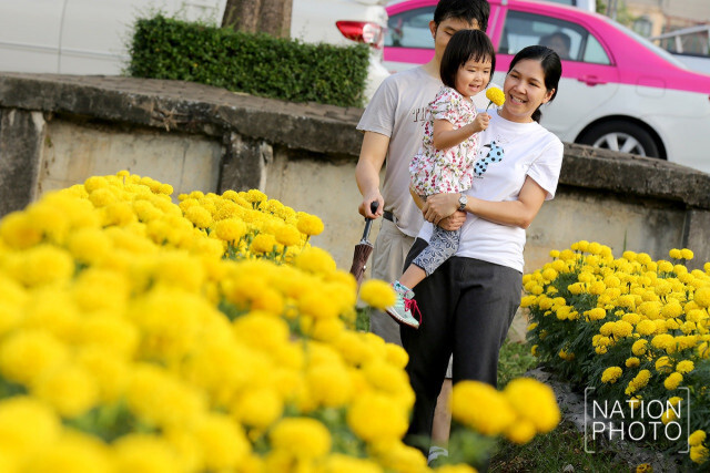 เที่ยวลาดพร้าว รับลมหนาว ชมดาวเรือง