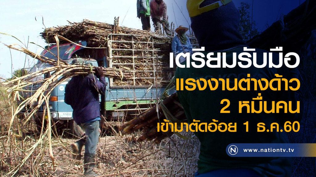 เตรียมรับมือ
แรงงานต่างด้าว 2 หมื่นคน
เข้ามาตัดอ้อย 1 ธ.ค.60