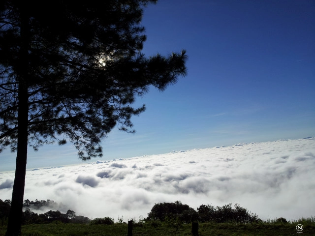 เปิดภาพทะเลหมอก ดอยผ้าห่มปก ขาวโพลนคู่ขนานภูเขา