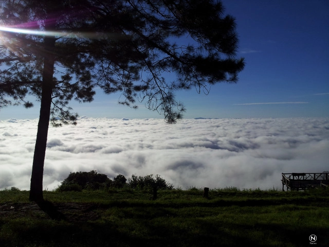 เปิดภาพทะเลหมอก ดอยผ้าห่มปก ขาวโพลนคู่ขนานภูเขา
