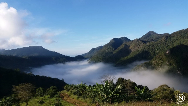 เปิดภาพทะเลหมอก ดอยผ้าห่มปก ขาวโพลนคู่ขนานภูเขา