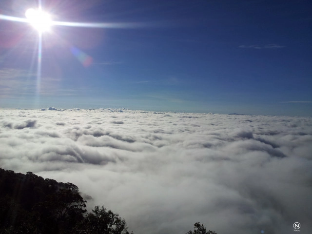 เปิดภาพทะเลหมอก ดอยผ้าห่มปก ขาวโพลนคู่ขนานภูเขา
