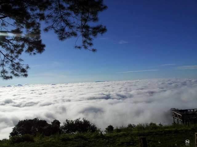 เปิดภาพทะเลหมอก ดอยผ้าห่มปก ขาวโพลนคู่ขนานภูเขา