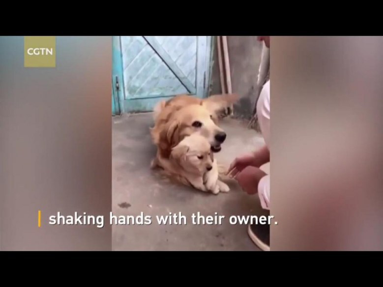 (คลิป) อย่ายุ่งกับลูกผม !!