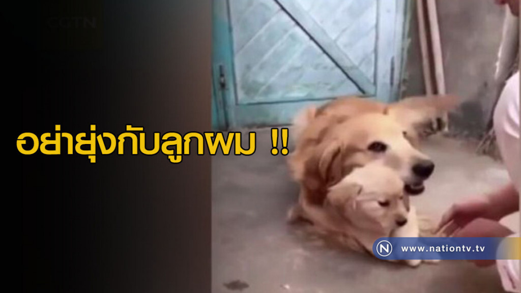 (คลิป) อย่ายุ่งกับลูกผม !! (คลิป) อย่ายุ่งกับลูกผม !!