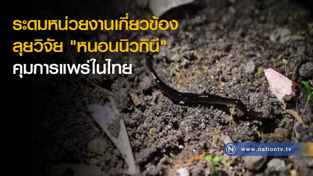 ระดมหน่วยงานเกี่ยวข้องลุยวิจัย "หนอนนิวกินี" คุมการแพร่ในไทย ระดมหน่วยงานเกี่ยวข้องลุยวิจัย "หนอนนิวกินี" คุมการแพร่ในไทย