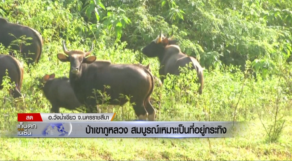 เก็บตกเที่ยง l ช่วงที่ 2 l 17-11-60 เก็บตกเที่ยง l ช่วงที่ 2 l 17-11-60
