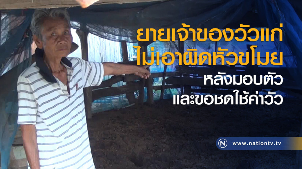 ยายเจ้าของวัวแก่ไม่เอาผิดหัวขโมย หลังมอบตัวและขอชดใช้ค่าวัว