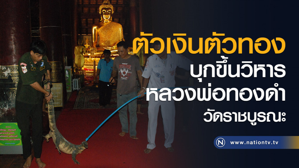 ตัวเงินตัวทองบุกขึ้นวิหารหลวงพ่อทองดำ วัดราชบูรณะ ตัวเงินตัวทองบุกขึ้นวิหารหลวงพ่อทองดำ วัดราชบูรณะ