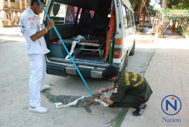 ตัวเงินตัวทองบุกขึ้นวิหารหลวงพ่อทองดำ วัดราชบูรณะ
