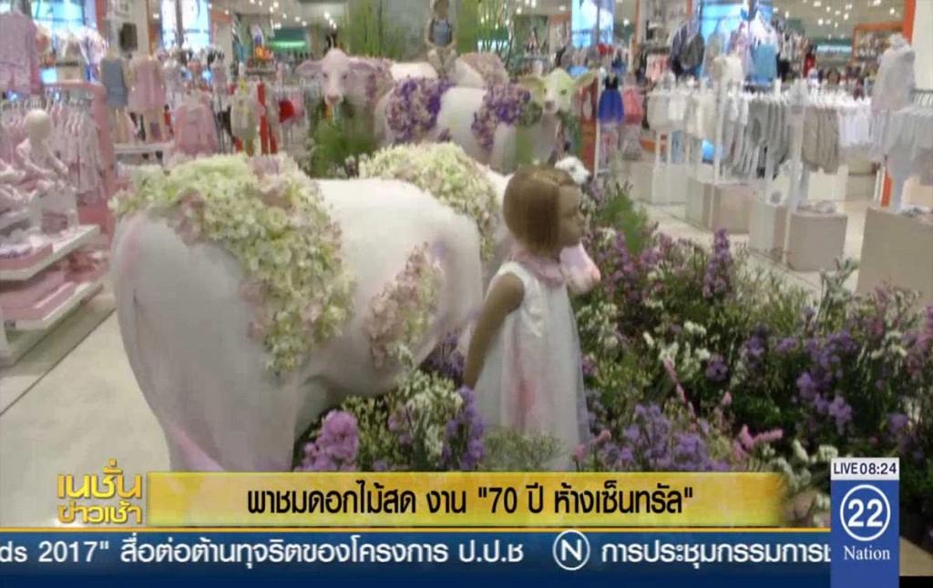 พาชมดอกไม้สด งาน "70 ปี ห้างเซ็นทรัล" พาชมดอกไม้สด งาน "70 ปี ห้างเซ็นทรัล"