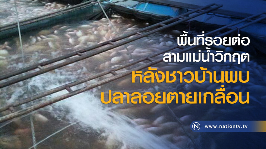 พื้นที่รอยต่อสามแม่น้ำวิกฤตหลังชาวบ้านพบปลาลอยตายเกลื่อน