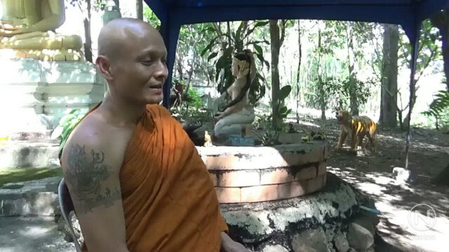กองทัพแมลงปีกแข็งสีดำ ยึดวัดพระธาตุภูขวางพะเยา กว่า 20 ปี