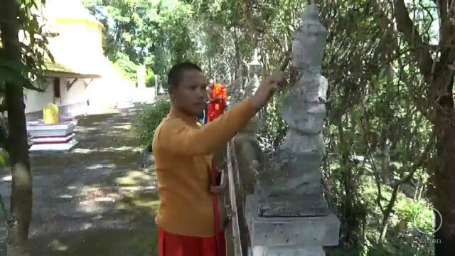 กองทัพแมลงปีกแข็งสีดำ ยึดวัดพระธาตุภูขวางพะเยา กว่า 20 ปี