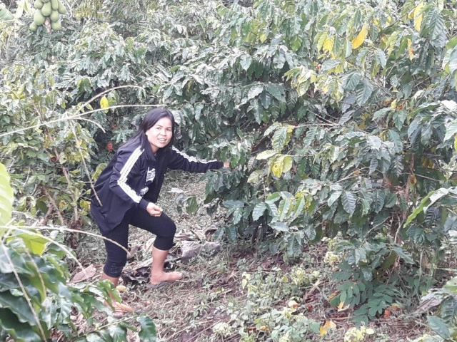 ปันไออุ่น ต้านภัยหนาว 
เมืองแห่งทะเลภูเขา สุดหนาวในสยาม จ.เลย