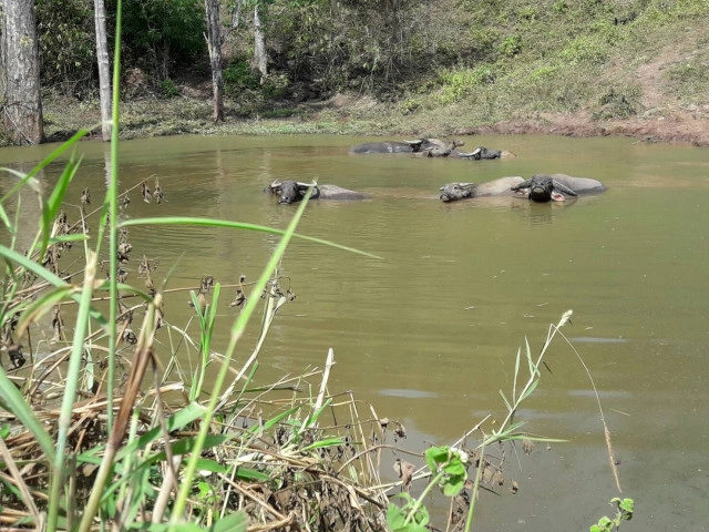 ปันไออุ่น ต้านภัยหนาว 
เมืองแห่งทะเลภูเขา สุดหนาวในสยาม จ.เลย