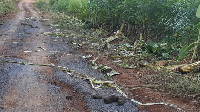 ปันไออุ่น ต้านภัยหนาว 
เมืองแห่งทะเลภูเขา สุดหนาวในสยาม จ.เลย