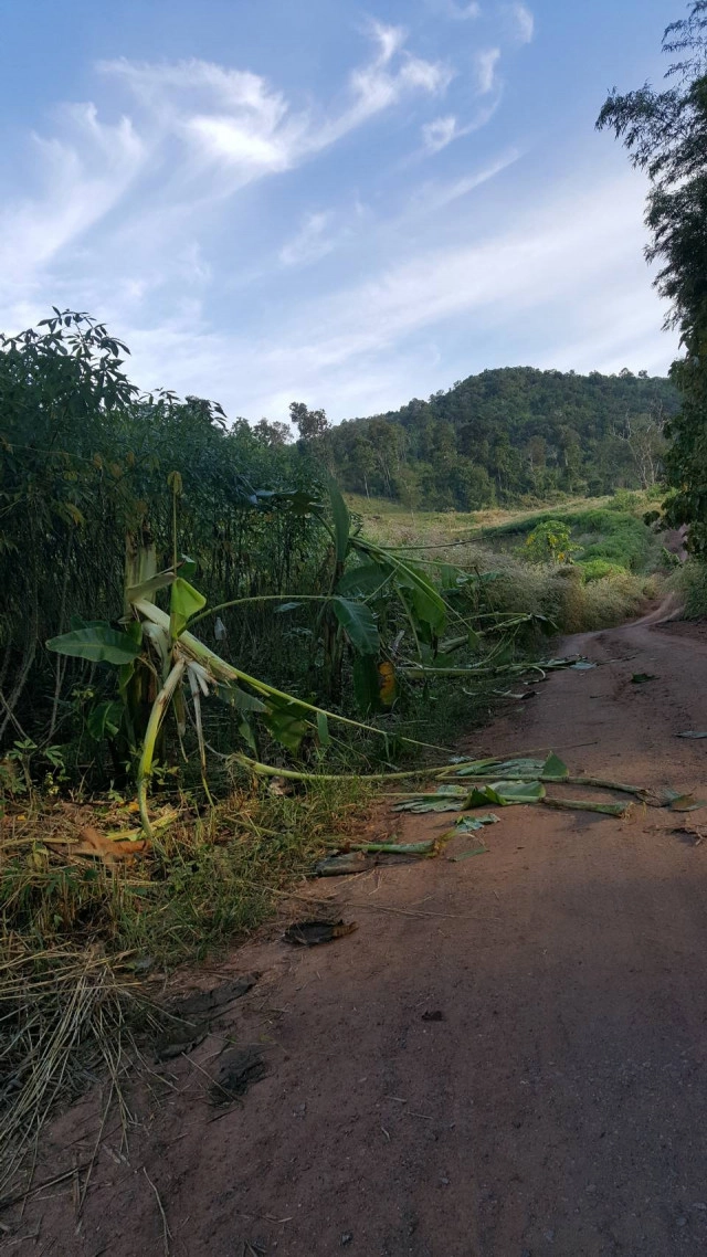ปันไออุ่น ต้านภัยหนาว 
เมืองแห่งทะเลภูเขา สุดหนาวในสยาม จ.เลย