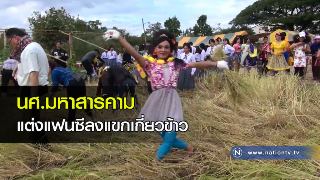 นศ.มหาสารคาม แต่งแฟนซีลงแขกเกี่ยวข้าว นศ.มหาสารคาม แต่งแฟนซีลงแขกเกี่ยวข้าว