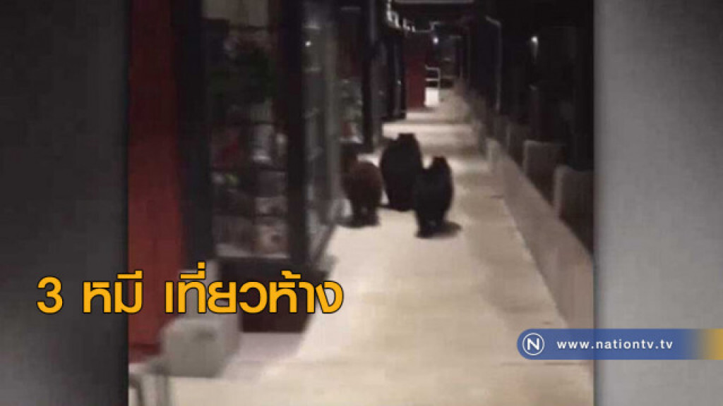 3 หมีเที่ยวห้าง