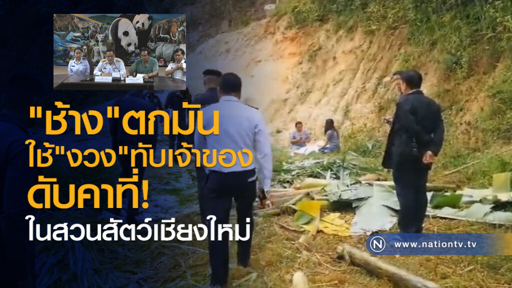 "ช้าง"ตกมัน
ใช้"งวง"ทับเจ้าของดับคาที่
ในสวนสัตว์เชียงใหม่ "ช้าง"ตกมัน
ใช้"งวง"ทับเจ้าของดับคาที่
ในสวนสัตว์เชียงใหม่