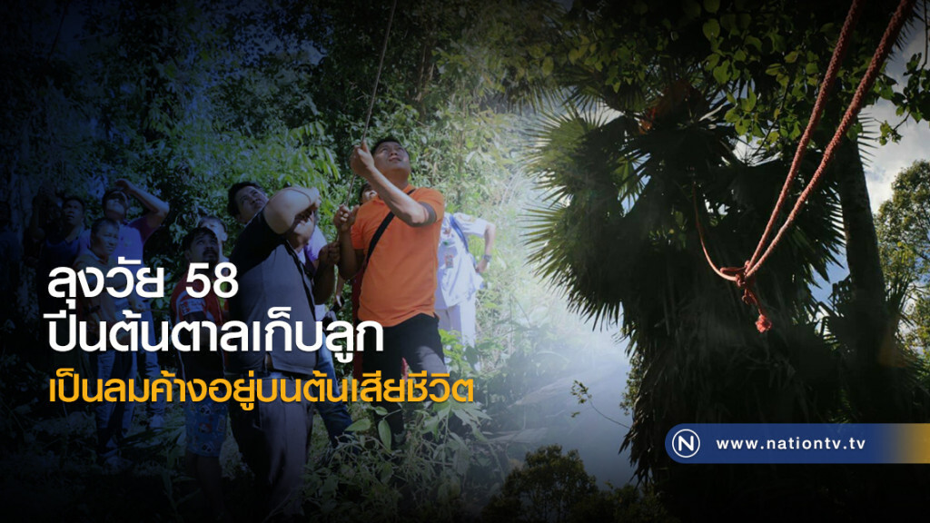 ลุงวัย 58 
ปีนต้นตาลเก็บลูก
เป็นลมค้างอยู่บนต้นเสียชีวิต