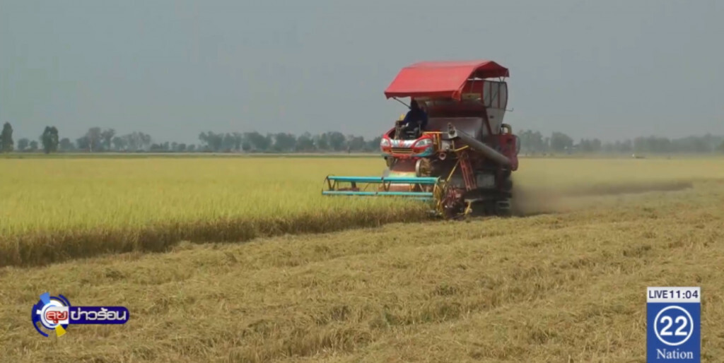 พาณิชย์หนุนสินค้าเกษตรอินทรีย์รุกตลาดสหรัฐ พาณิชย์หนุนสินค้าเกษตรอินทรีย์รุกตลาดสหรัฐ