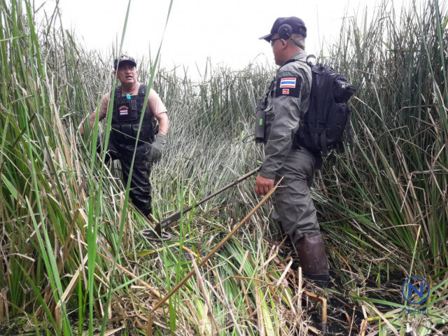 ขยายพื้นที่รัศมี 150 เมตร 
ปูพรมค้นหาอาวุธสงคราม  ซุกกลางทุ่งนา