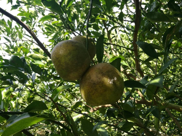 อ่างเก็บน้ำ"นฤบดินทรจินดา"  
พลิกฟื้นชีวิตชาวปราจีนบุรี