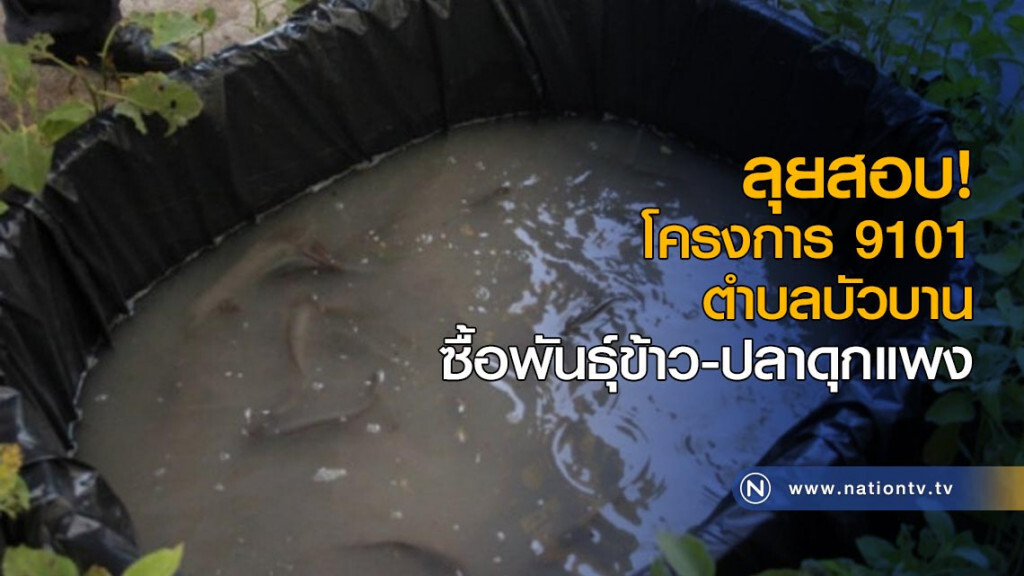 ลุยสอบโครงการ 9101 ตำบลบัวบานซื้อพันธุ์ข้าว-ปลาดุกแพง