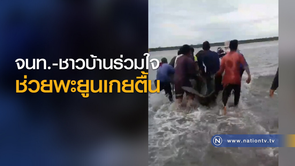 จนท.-ชาวบ้านร่วมใจช่วยพะยูนเกยตื้น จนท.-ชาวบ้านร่วมใจช่วยพะยูนเกยตื้น