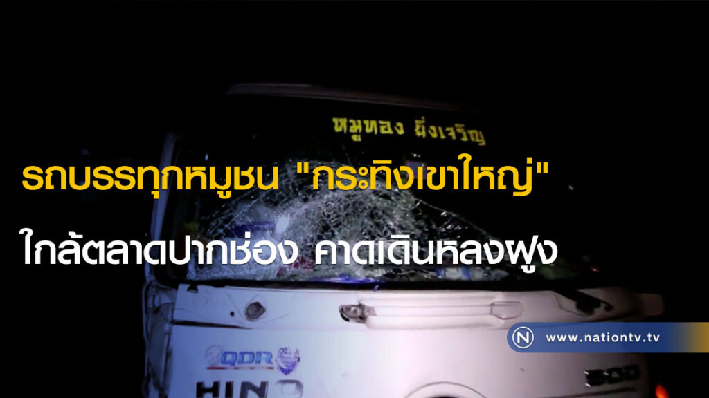 รถบรรทุกหมูชน "กระทิงเขาใหญ่" ใกล้ตลาดปากช่อง คาดเดินหลงฝูง