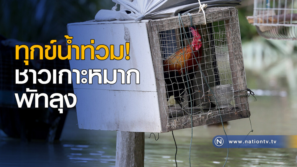 ทุกข์น้ำท่วม! ชาวเกาะหมาก พัทลุง ทุกข์น้ำท่วม! ชาวเกาะหมาก พัทลุง