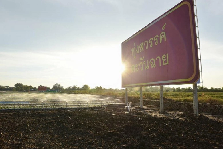 อีเวนท์ "ธรรมกาย" ปลูก"ต้นเบญจทรัพย์" ทวงคืนศรัทธา!