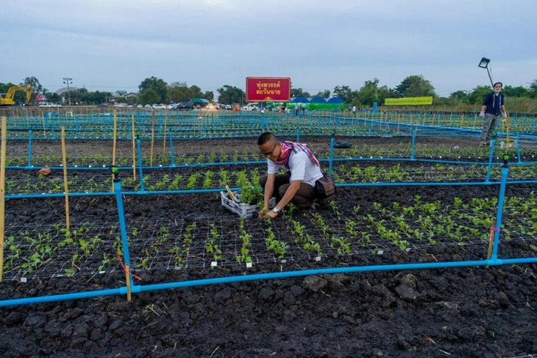 อีเวนท์ "ธรรมกาย" ปลูก"ต้นเบญจทรัพย์" ทวงคืนศรัทธา!