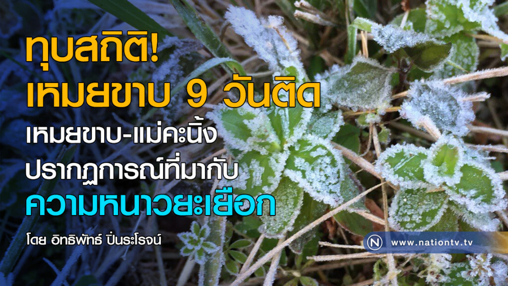 ทุบสถิติ! เหมยขาบ  9 วันติด
เหมยขาบ-แม่คะนิ้ง ปรากฏการณ์ที่มากับความหนาวยะเยือก
