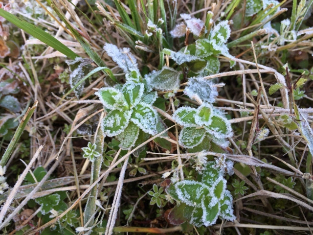 ทุบสถิติ! เหมยขาบ  9 วันติด
เหมยขาบ-แม่คะนิ้ง ปรากฏการณ์ที่มากับความหนาวยะเยือก