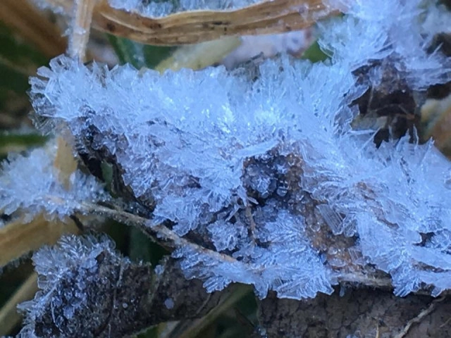 ทุบสถิติ! เหมยขาบ  9 วันติด
เหมยขาบ-แม่คะนิ้ง ปรากฏการณ์ที่มากับความหนาวยะเยือก