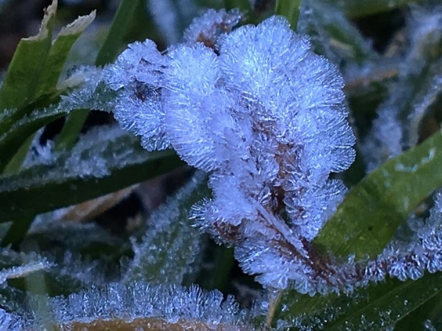 ทุบสถิติ! เหมยขาบ  9 วันติด
เหมยขาบ-แม่คะนิ้ง ปรากฏการณ์ที่มากับความหนาวยะเยือก