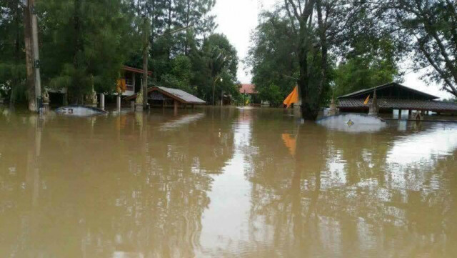 เมื่อ "นครศรีธรรมราช" 
ฝนถล่มหนักเป็นประวัติการณ์
568 มม.ในรอบ 24 ชม.
